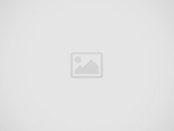 Dinamobet Kullanıcı Yorumları ve Deneyimler