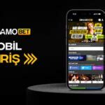 Dinamobet Mobil ve Masaüstü Kullanıcı Deneyimi